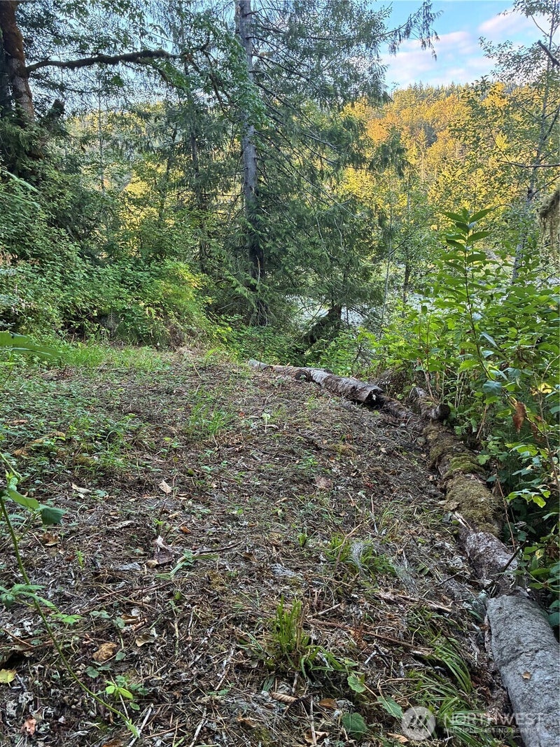 3 Mt. Index River Road