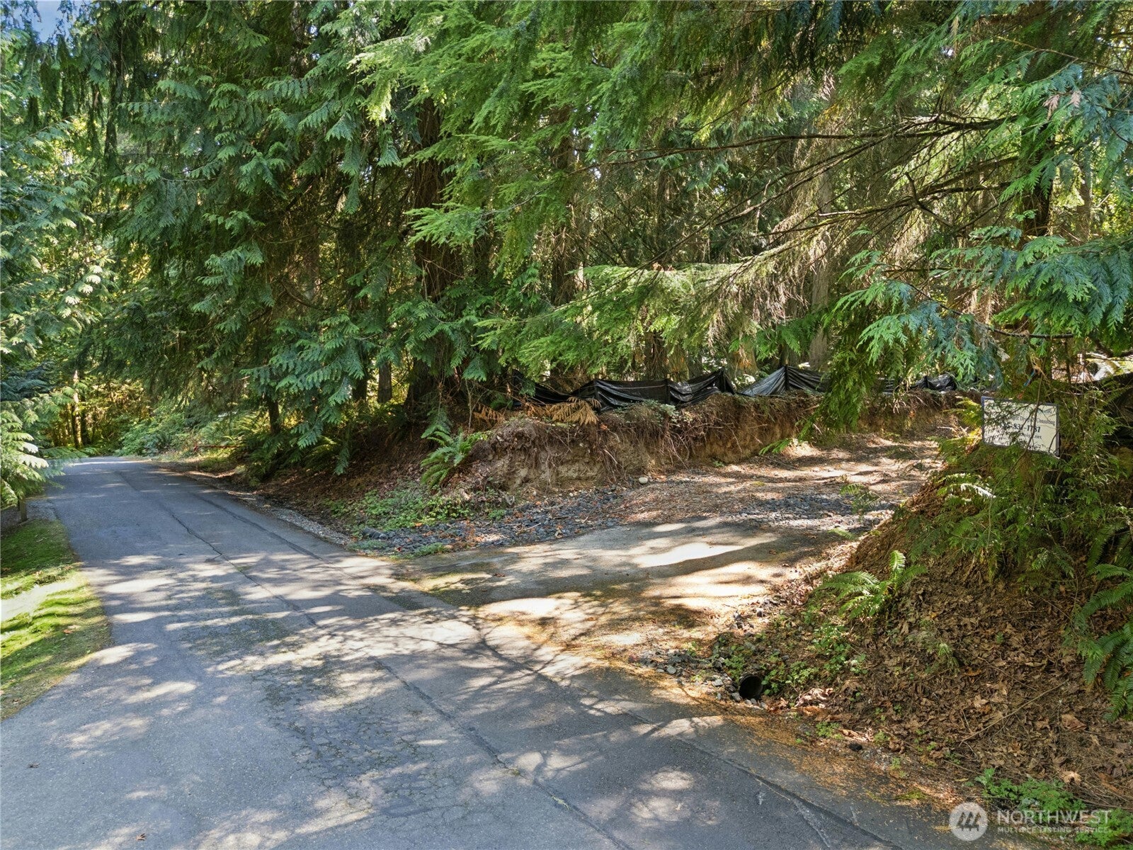28505 SE 67th Street