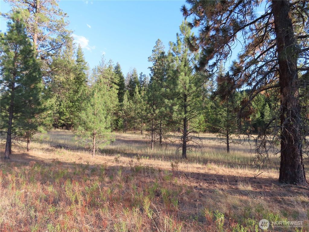 Photo of 0 Toroda Creek Road, Curlew, WA 99118 (MLS # 2493231)