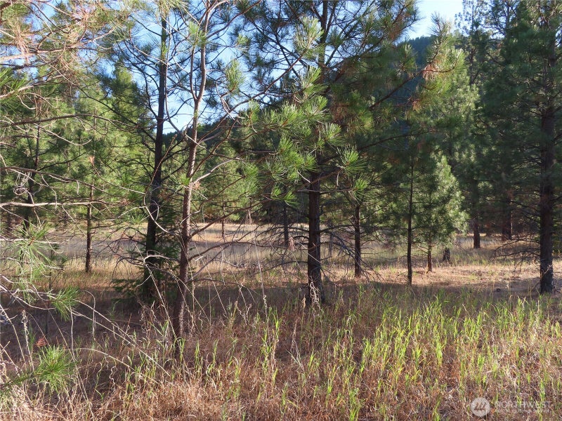 0 Toroda Creek Road
