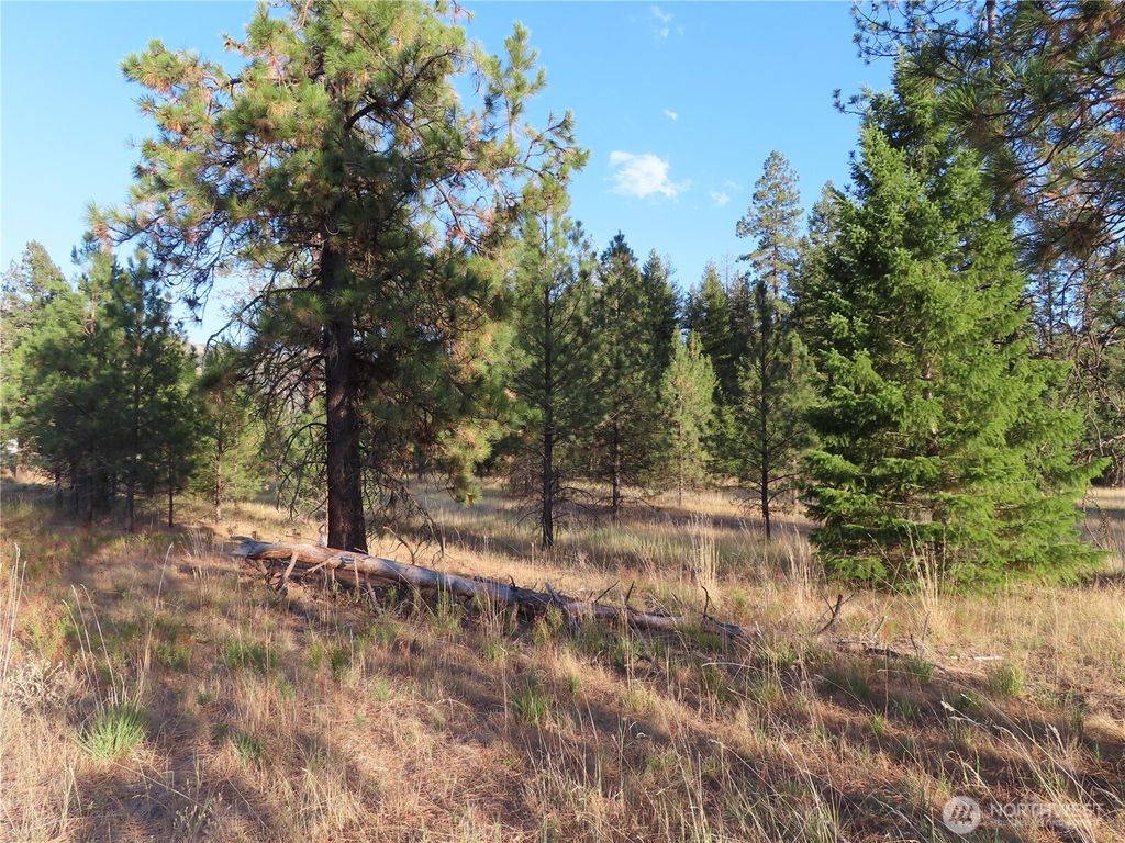 Photo of 0 Toroda Creek Road, Curlew, WA 99118 (MLS # 2493231)