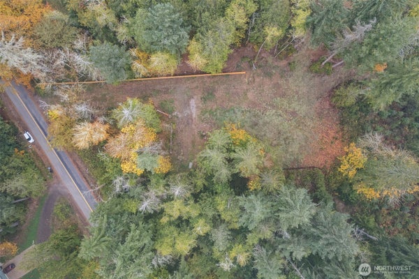 16456 HOFF RD NW, LAKEBAY, WA 98349 - Image 6aedcc2cd0b7ccafdd5d28fe370f9f76/3979764930