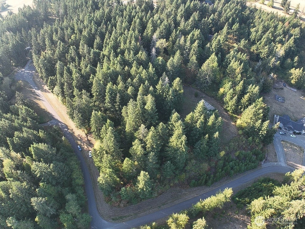 Photo of 12626 Gilling Lane SE, Yelm, WA 98597 (MLS # 2586017)