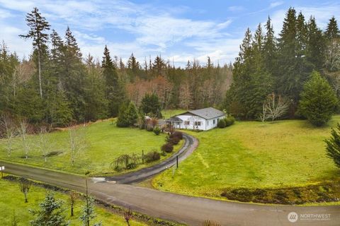 Photo of 41 W Pyramid Ct. Ct, Shelton, WA 98584 (MLS # 2492823)