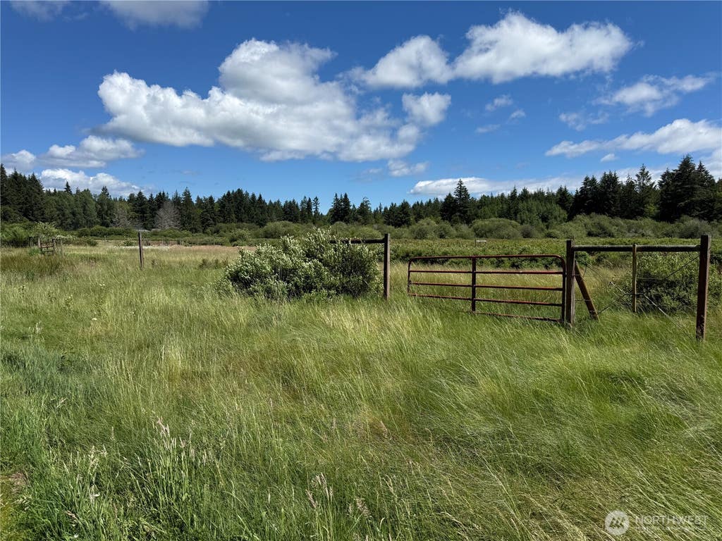 Photo of 119 184th Avenue Ct SW, Lakebay, WA 98445 (MLS # 2565877)