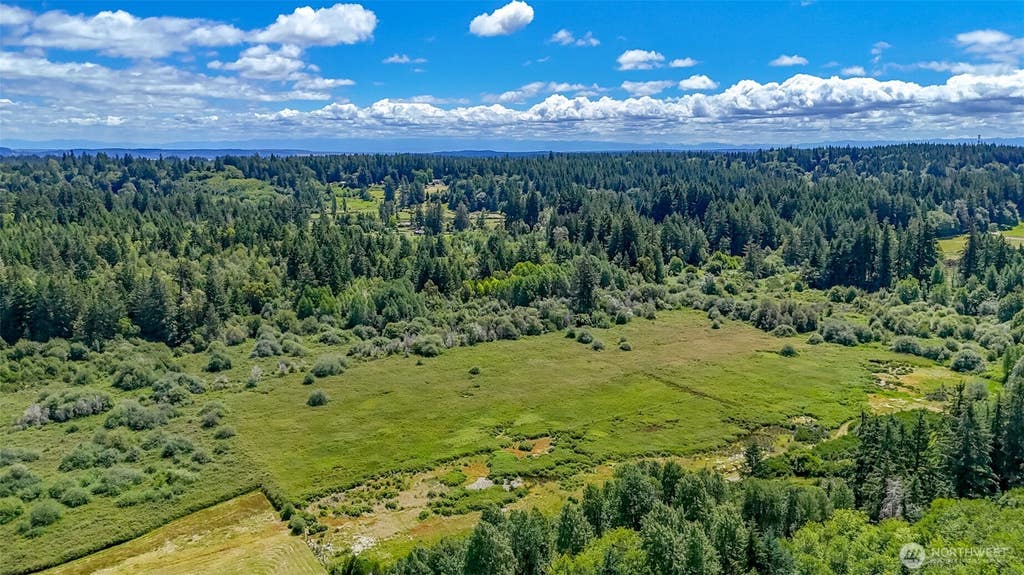 Photo of 119 184th Avenue Ct SW, Lakebay, WA 98445 (MLS # 2565877)
