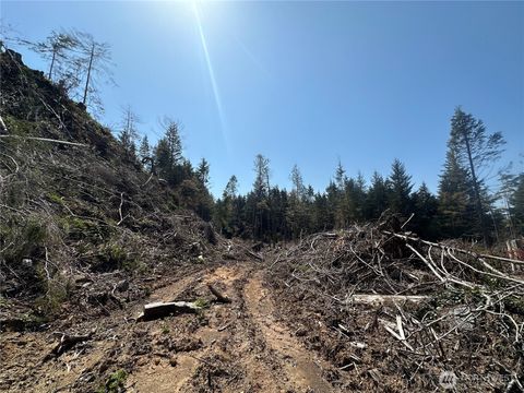 Photo of 0 40th St. Street, Seaview, WA 98644 (MLS # 2359545)