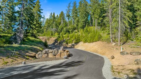 1 Newport Creek Loop Ronald WA 98940
