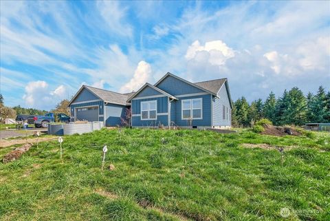 Photo of 1023 Spirit Lake Hwy Hwy, Castle Rock, WA 98611 (MLS # 2472466)