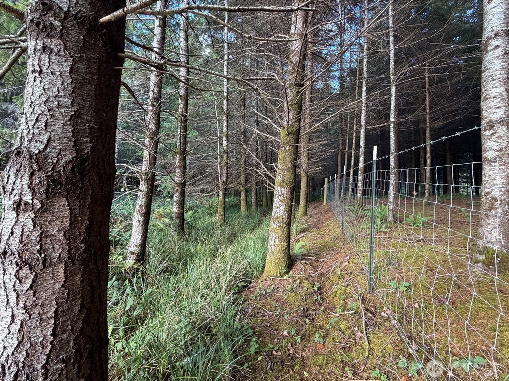 Photo of 0 Monohon Landing Road, Raymond, WA 98577 (MLS # 2593629)