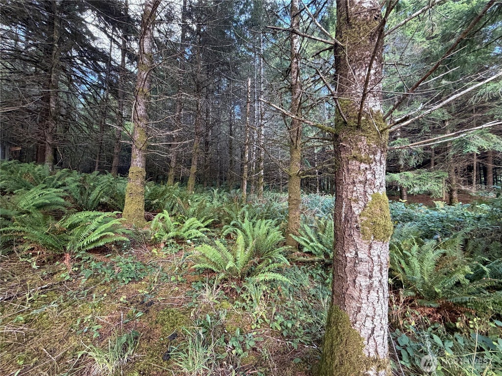 Photo of 0 Monohon Landing Road, Raymond, WA 98577 (MLS # 2593629)