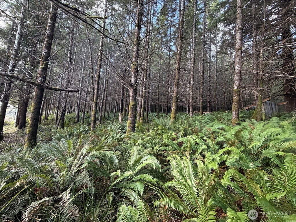 Photo of 0 Monohon Landing Road, Raymond, WA 98577 (MLS # 2593629)