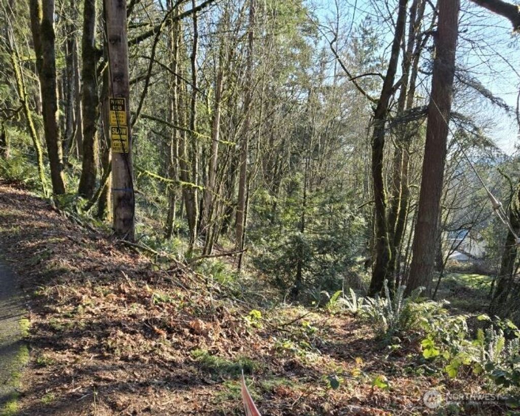 Photo of 1217 218th Avenue NE, Sammamish, WA 98074 (MLS # 2472837)