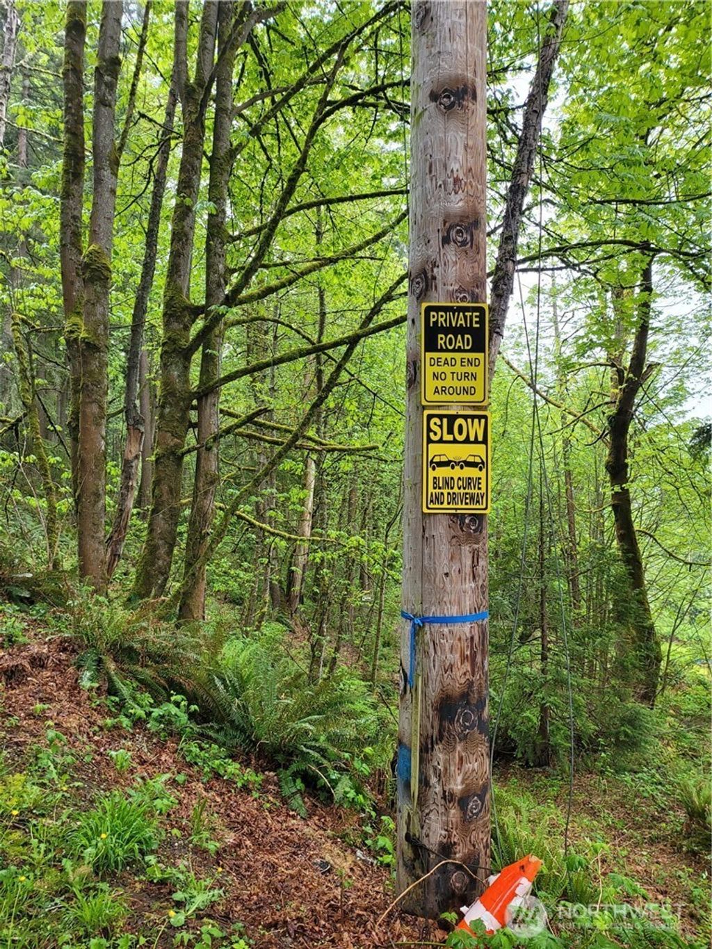 Photo of 1217 218th Avenue NE, Sammamish, WA 98074 (MLS # 2472837)