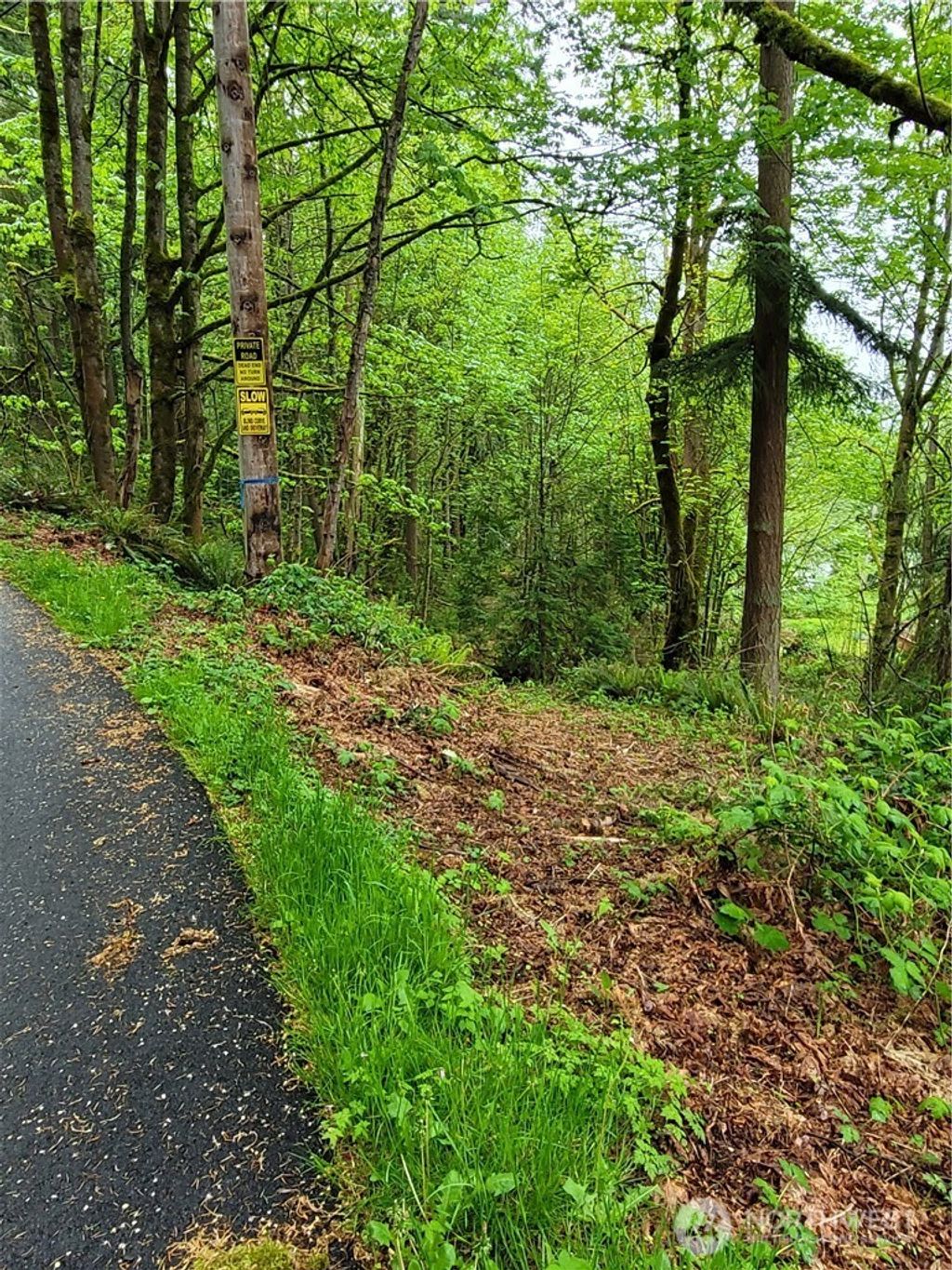 Photo of 1217 218th Avenue NE, Sammamish, WA 98074 (MLS # 2472837)