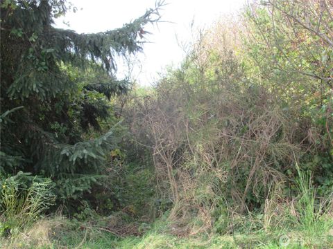 4 Driftwood Drive Ocean City WA 98569