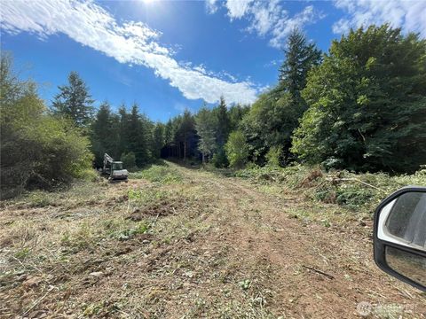 0 Bunker Creek Road Adna WA 98522