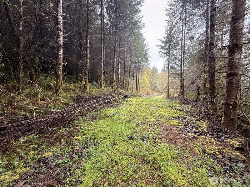 0 Bunker Creek Road