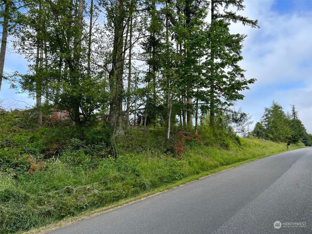 Photo of 0 84th Drive NW, Stanwood, WA 98292 (MLS # 2161802)