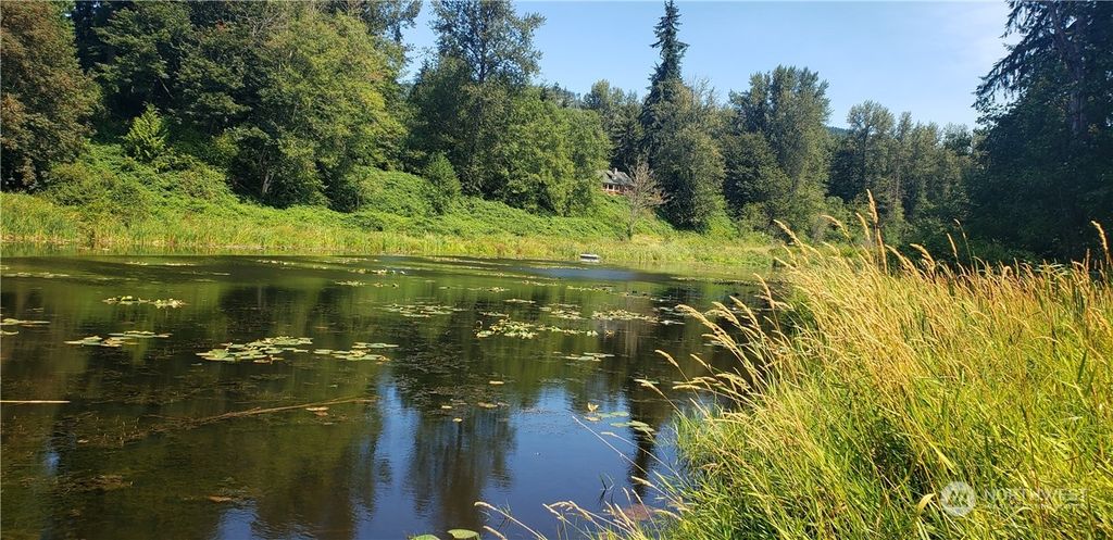 Photo of 12126 169th Drive NE, Arlington, WA 98223 (MLS # 2170081)