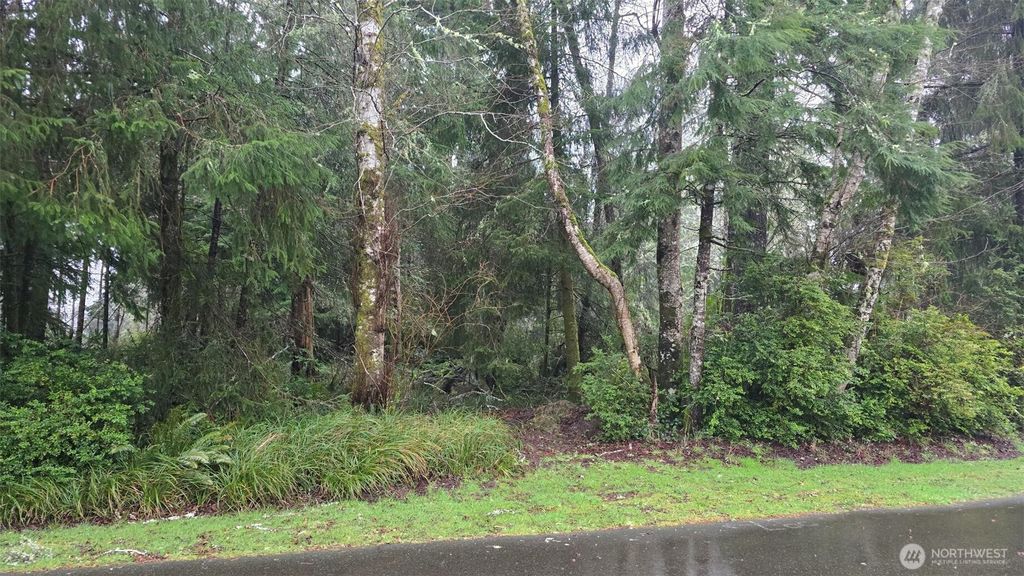 Photo of 265 Fisher Avenue NE, Ocean Shores, WA 98569 (MLS # 2475060)