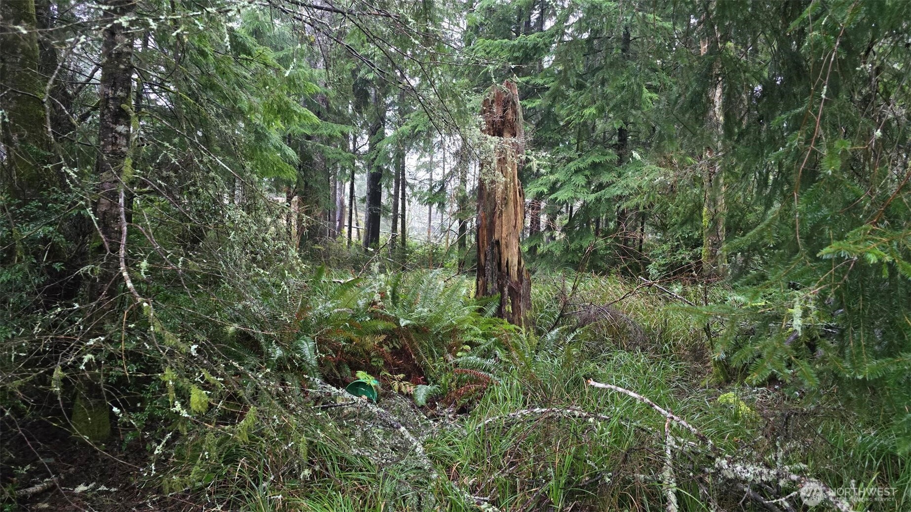 265 Fisher Avenue NE