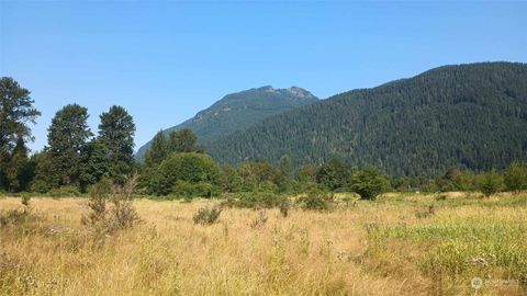 0 Lone Tree Road Randle WA 98377
