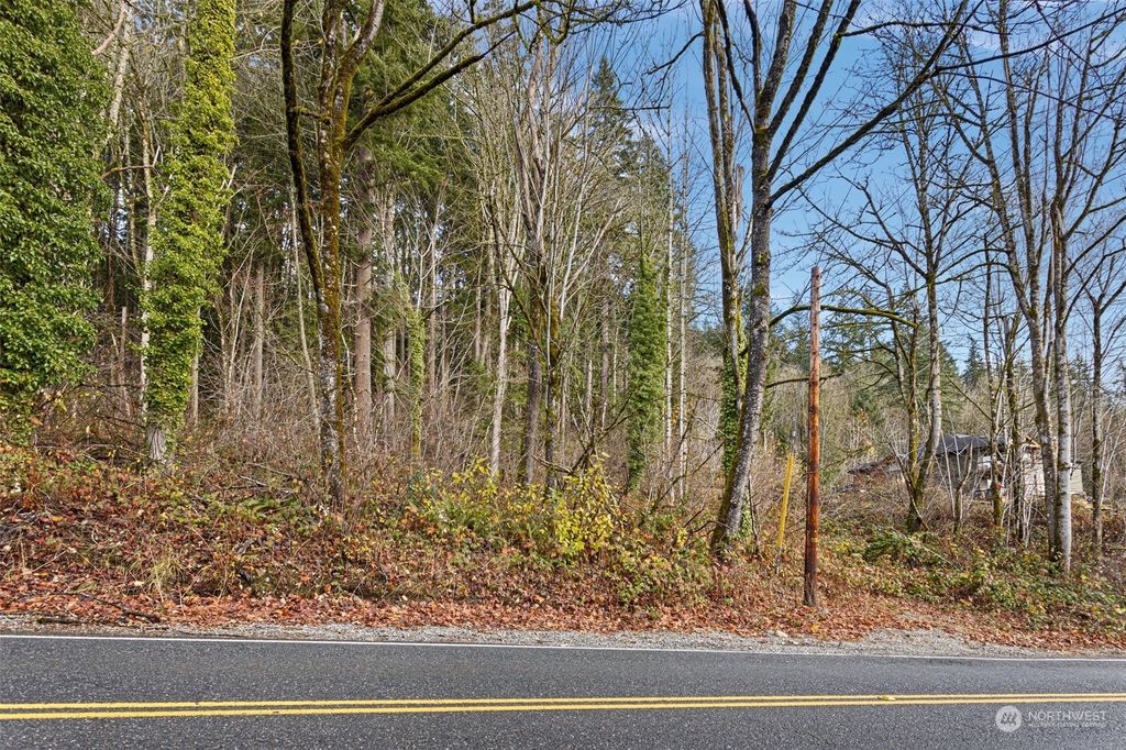 Photo of 0 Tiger Mountain Rd, Issaquah, WA 98027 (MLS # 2233011)
