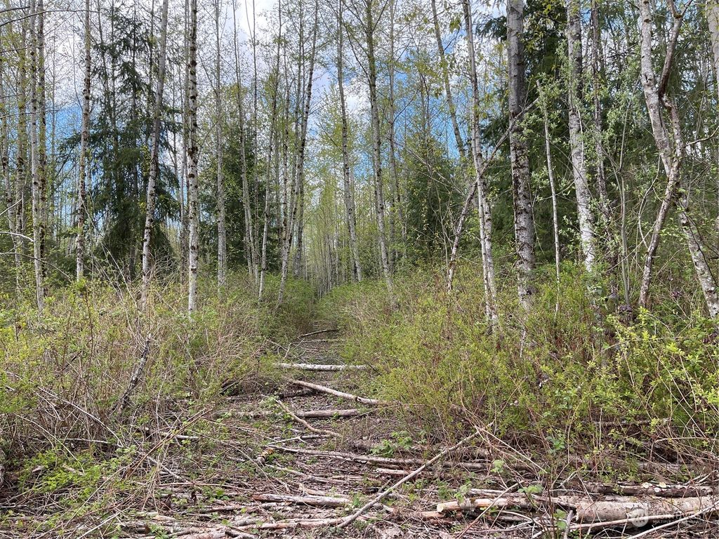 Photo of 16201 30th Avenue NW, Lake Goodwin, WA 98292 (MLS # 2059505)