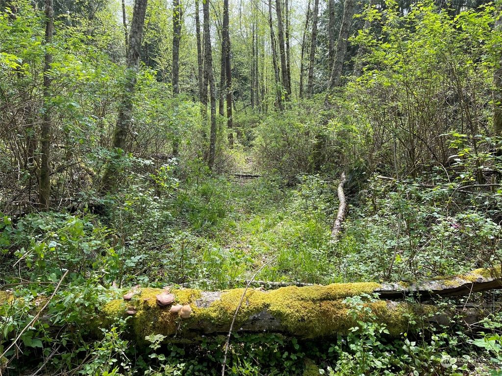 Photo of 16201 30th Avenue NW, Lake Goodwin, WA 98292 (MLS # 2059505)
