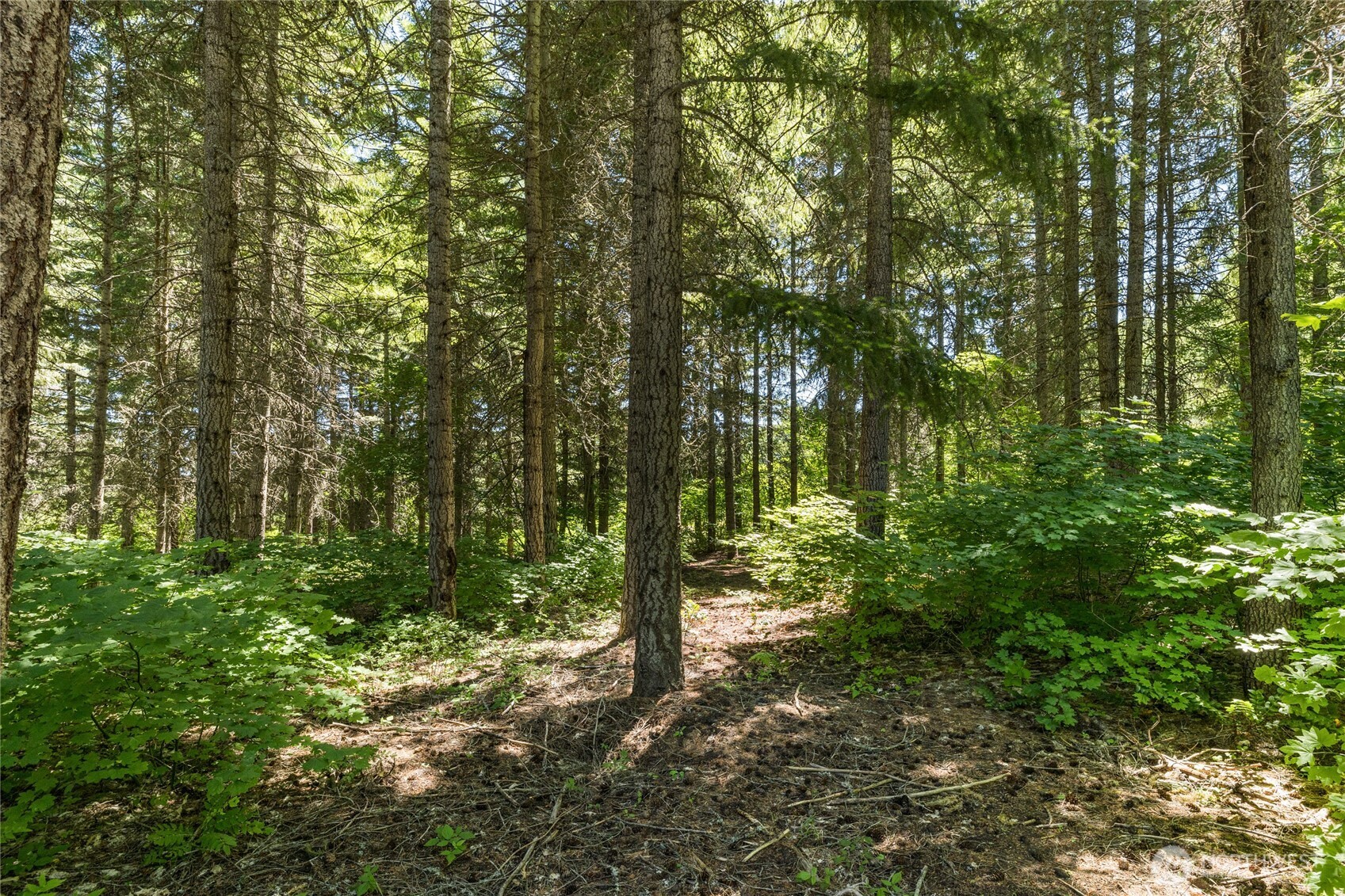 30 Scatter Creek Loop