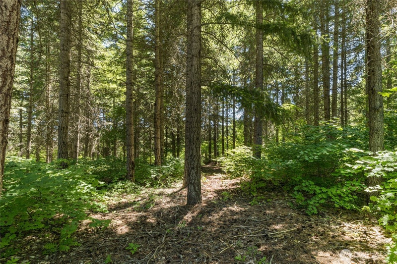 30 Scatter Creek Loop