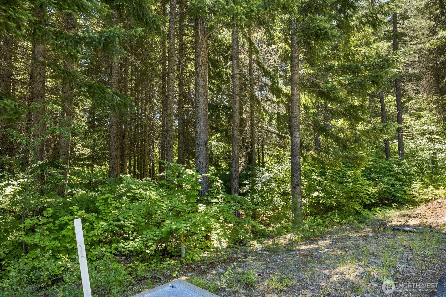 30 Scatter Creek Loop