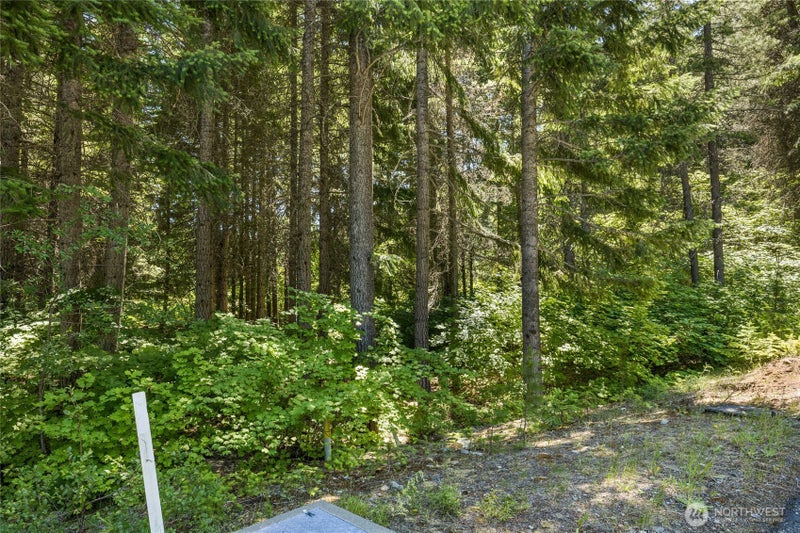 30 Scatter Creek Loop