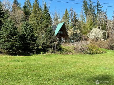 Photo of 360 Peters Road, Randle, WA 98377 (MLS # 2498284)