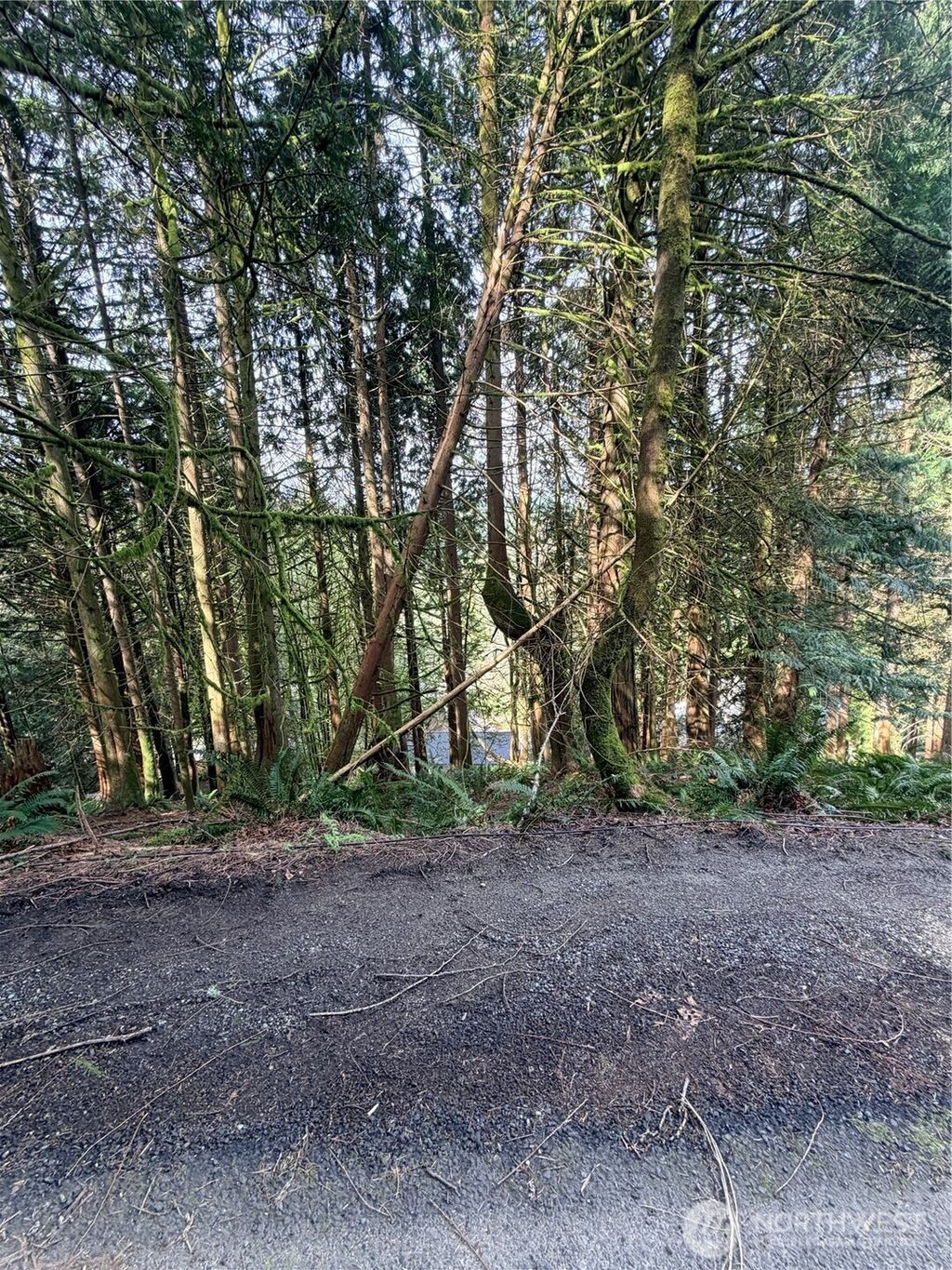 Photo of 12 Valley View Circle, Bellingham, WA 98229 (MLS # 2503139)