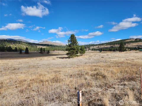 Photo of 0 TBD Aenaes Valley Road, Tonasket, WA 98859 (MLS # 2445703)