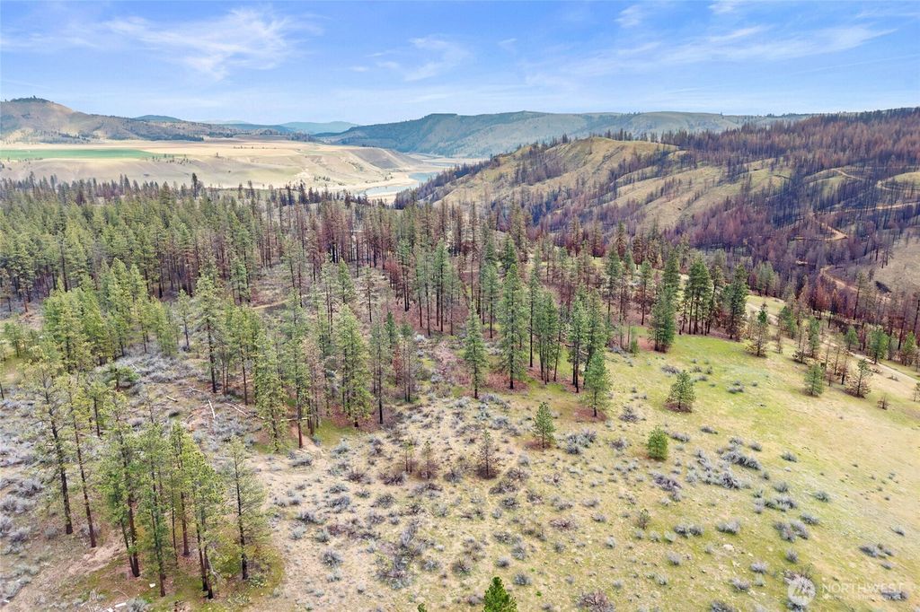 Photo of 36480 Western Pines Drive N, Davenport, WA 99122 (MLS # 2510741)