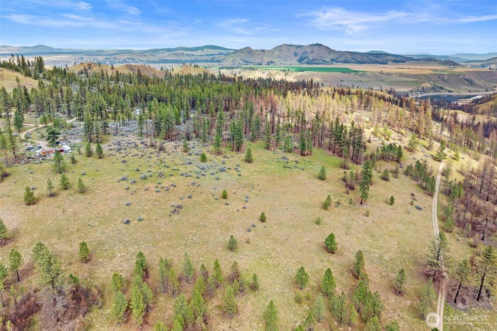 Photo of 36480 Western Pines Drive N, Davenport, WA 99122 (MLS # 2510741)