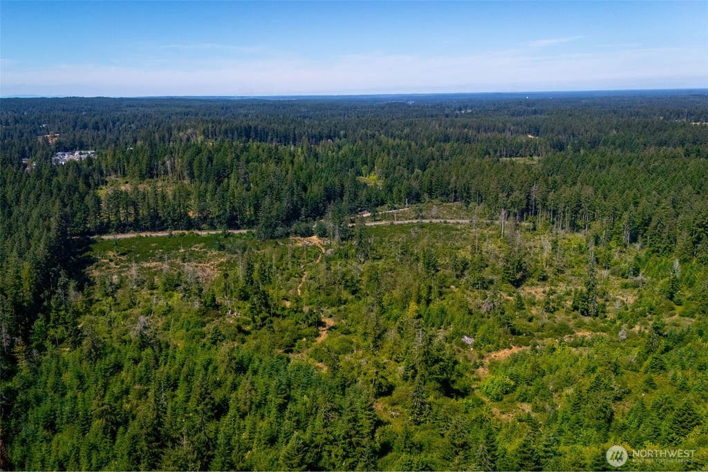 Photo of 0 XXXXX Algyer Road SE, Rainier, WA 98576 (MLS # 2552256)