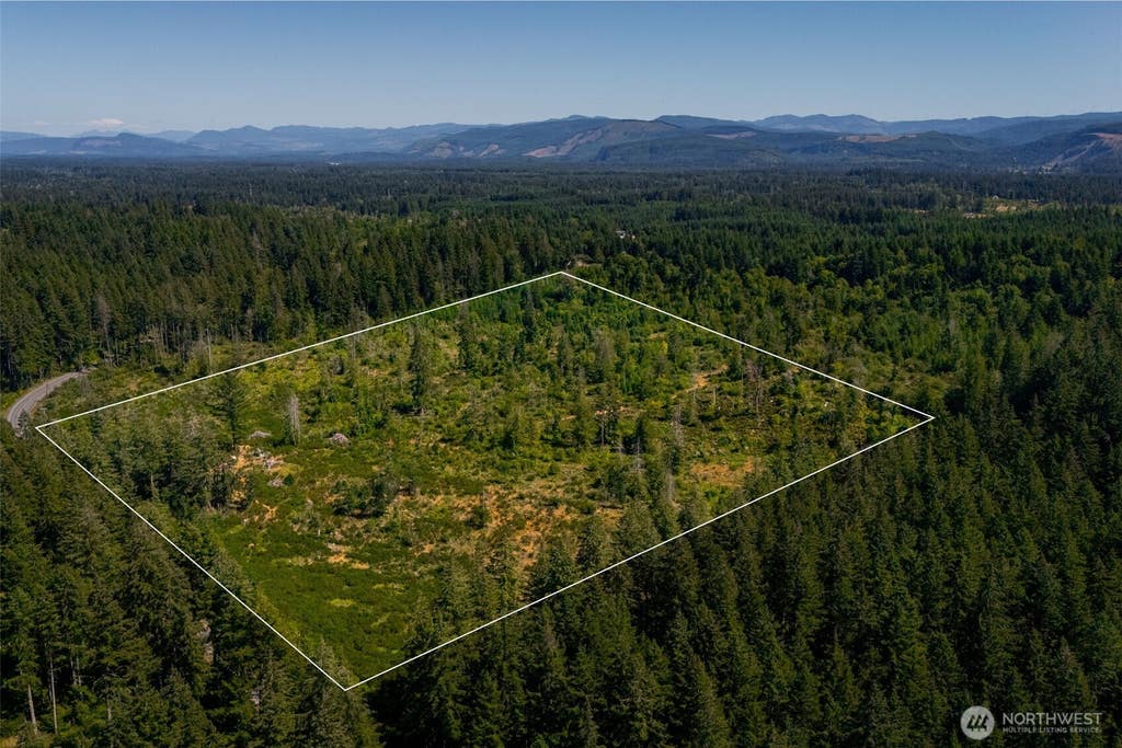 Photo of 0 XXXXX Algyer Road SE, Rainier, WA 98576 (MLS # 2552256)