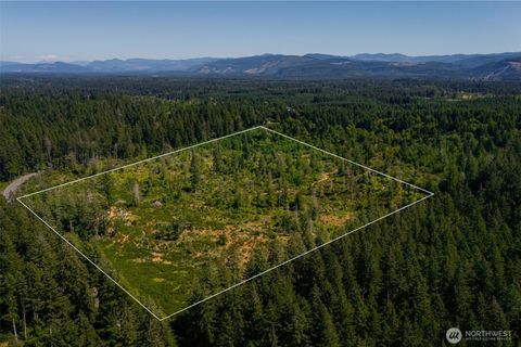 Photo of 0 XXXXX Algyer Road SE, Rainier, WA 98576 (MLS # 2552256)