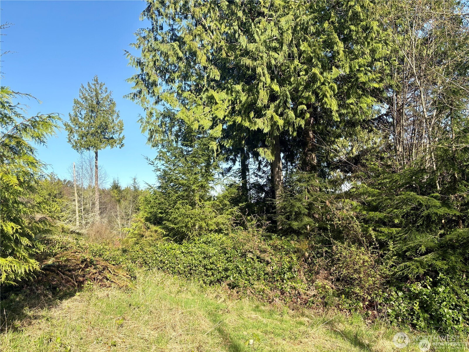 103 Wells Ridge Court