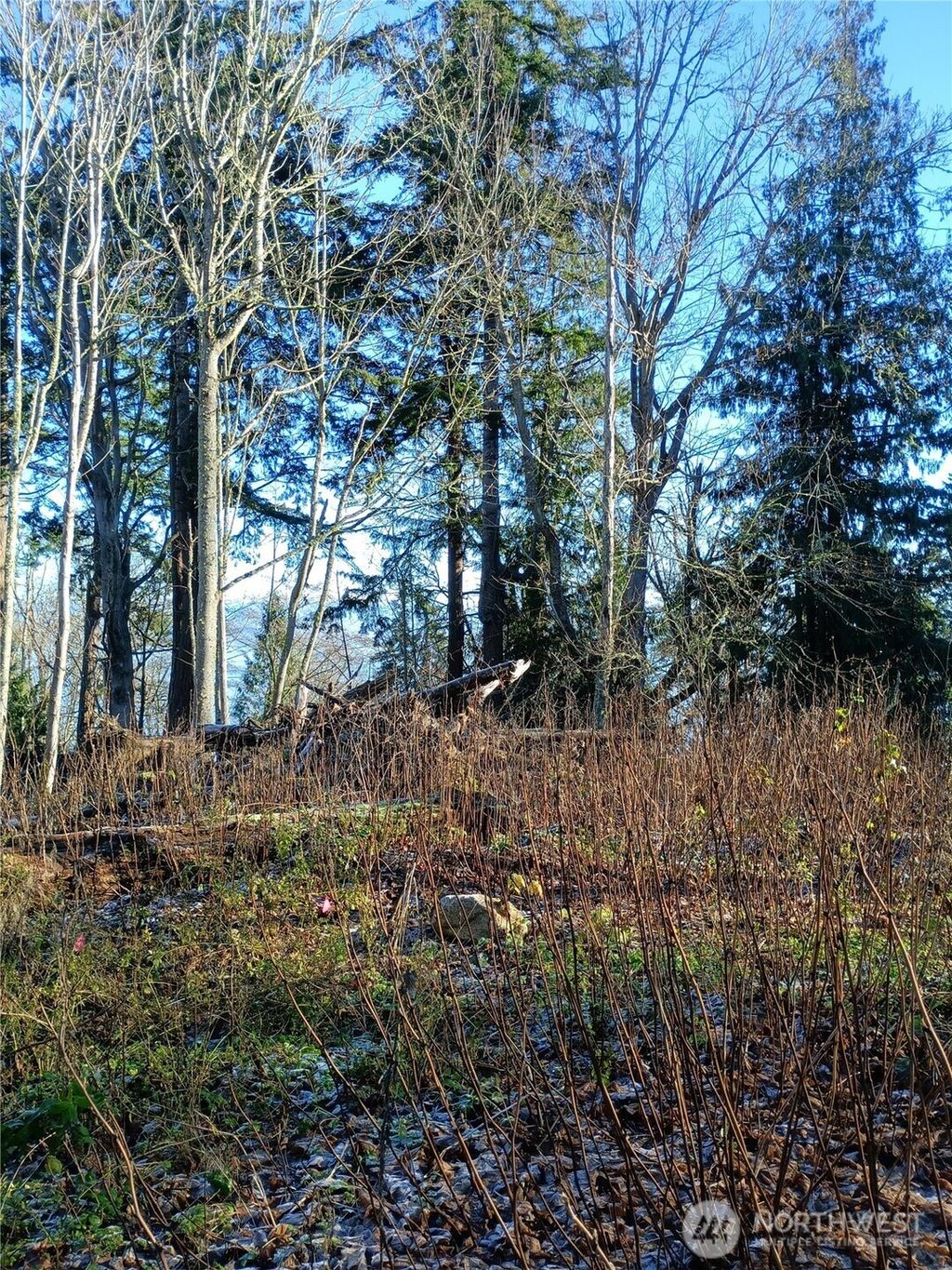 Photo of 49 K Tulalip Way, Hat Island, WA 98206 (MLS # 2548748)