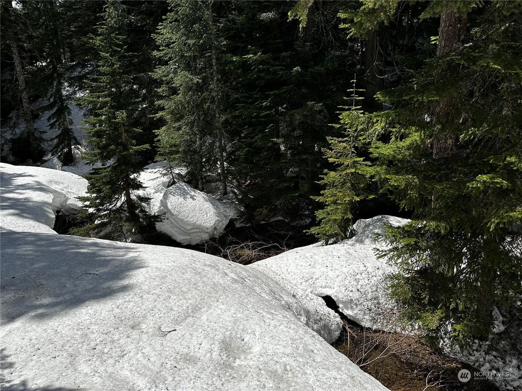 Photo of 3 Erste, Snoqualmie Pass, WA 98068 (MLS # 2186416)