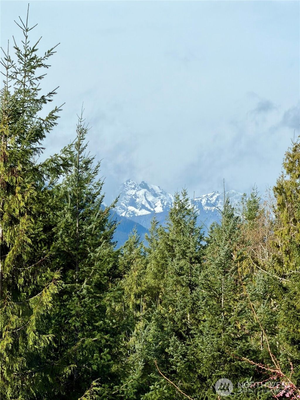 Photo of 293 Blueberry Hill Drive, Quilcene, WA 98376 (MLS # 2481135)