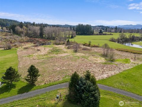 Photo of 0 X Lilly Wheaton Road, Raymond, WA 98577 (MLS # 2526696)