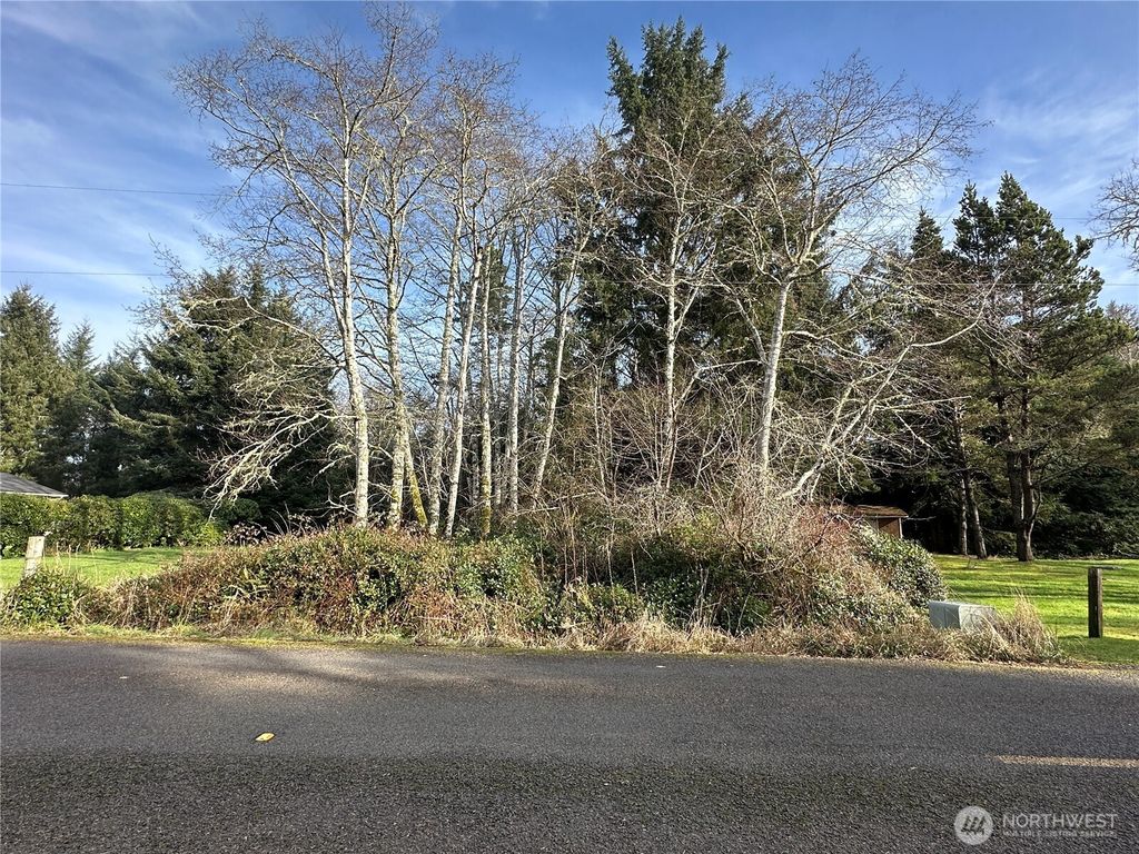 Photo of 32014 T Pl, Ocean Park, WA 98640 (MLS # 2472349)