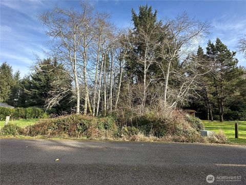 Photo of 32014 T Pl, Ocean Park, WA 98640 (MLS # 2472349)
