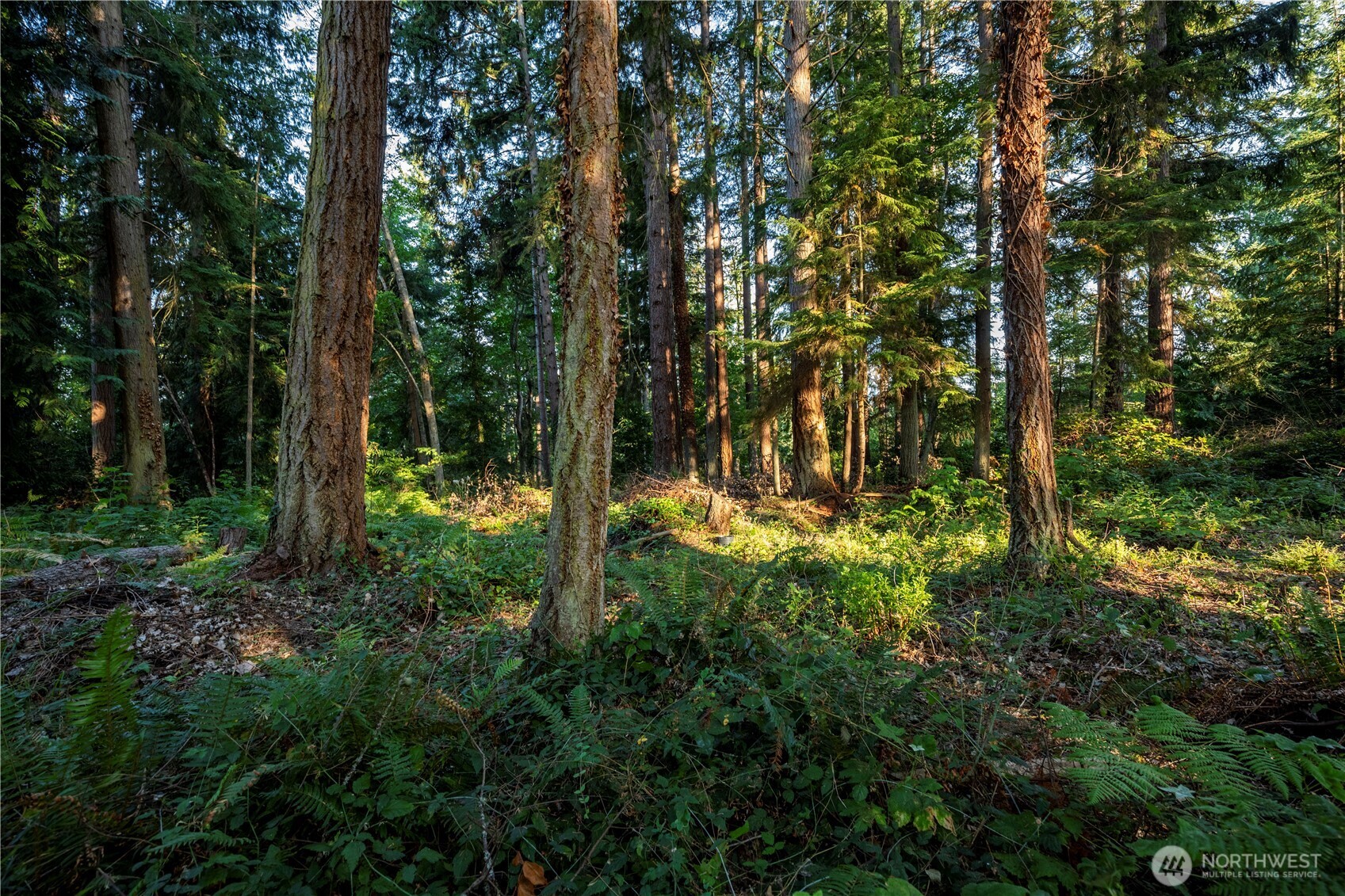 0 Ships Havens Drive